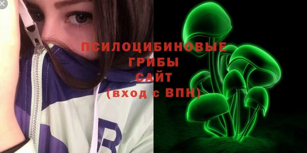 мдпв Осинники