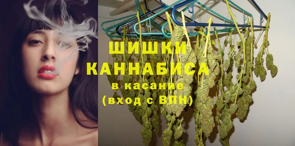 мдпв Осинники