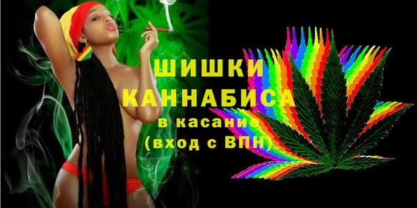 мдпв Осинники