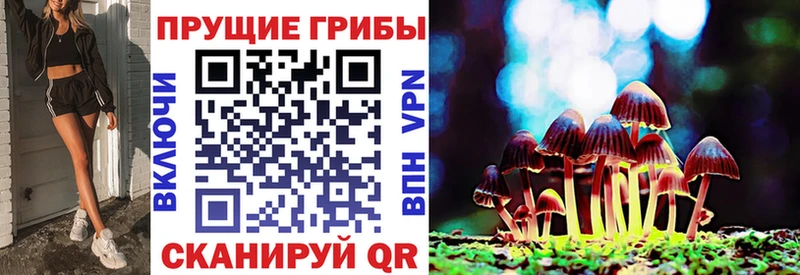 Псилоцибиновые грибы Cubensis  kraken   Новоуральск  закладка 