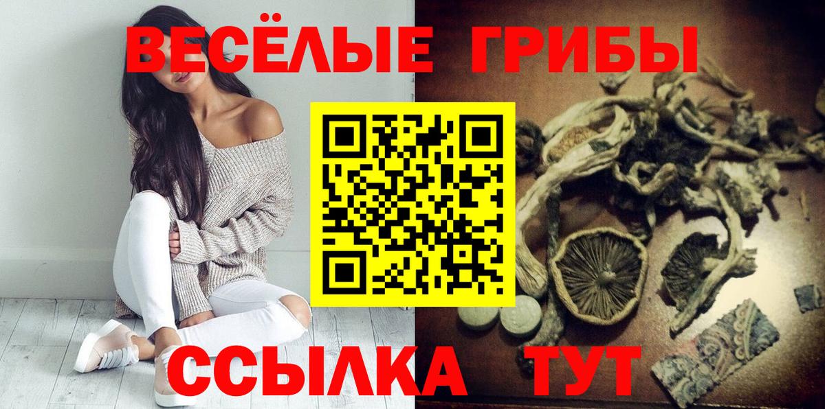Псилоцибиновые грибы Psilocybe Новоуральск