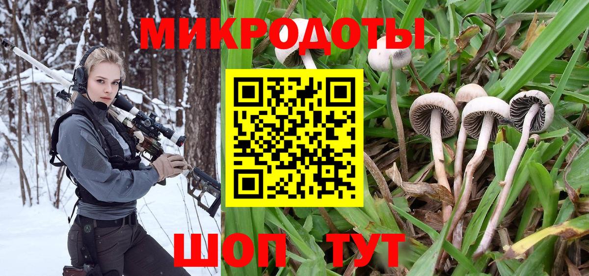 Новоуральск  Псилоцибиновые грибы MAGIC MUSHROOMS  Вход с VPN 